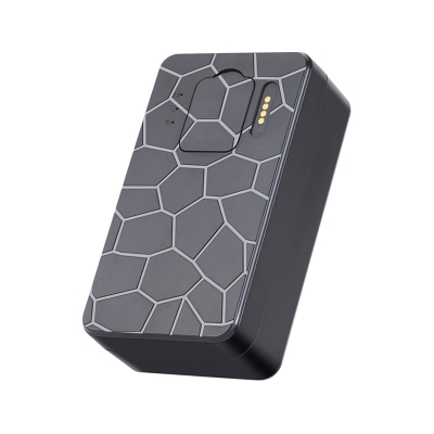 GPS-трекер CowSeek для крупных животных-2